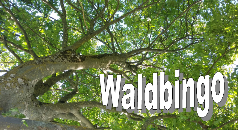 Waldbingo